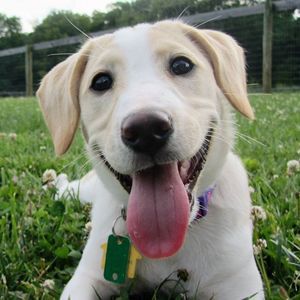 Meet your Posher, Stacie